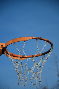 九游体育官网-NBA球队球员培养规划设计，nba对球员的要求是什么